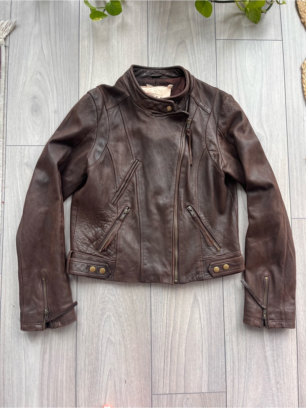 Costa Blanca Chocolate Brown Leather Moto Jacket